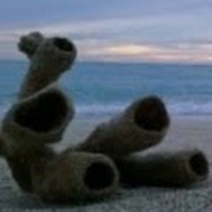 Meet your Posher, Mara